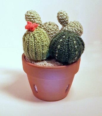 Knitted cactus garden knitting pattern