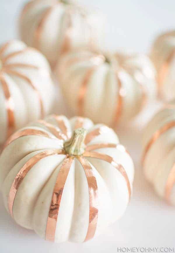 Copper stripe pumpkins