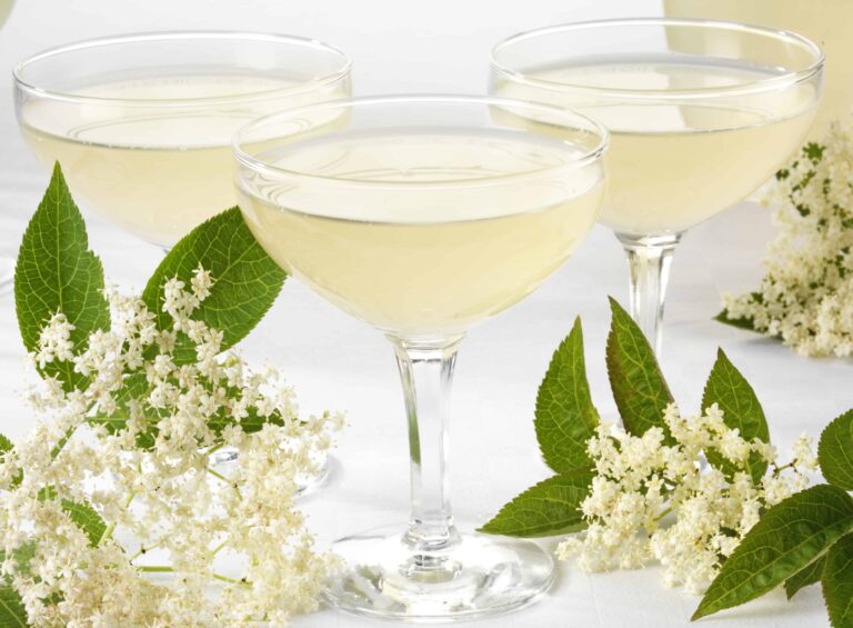 Make Delicious Elderflower Champagne