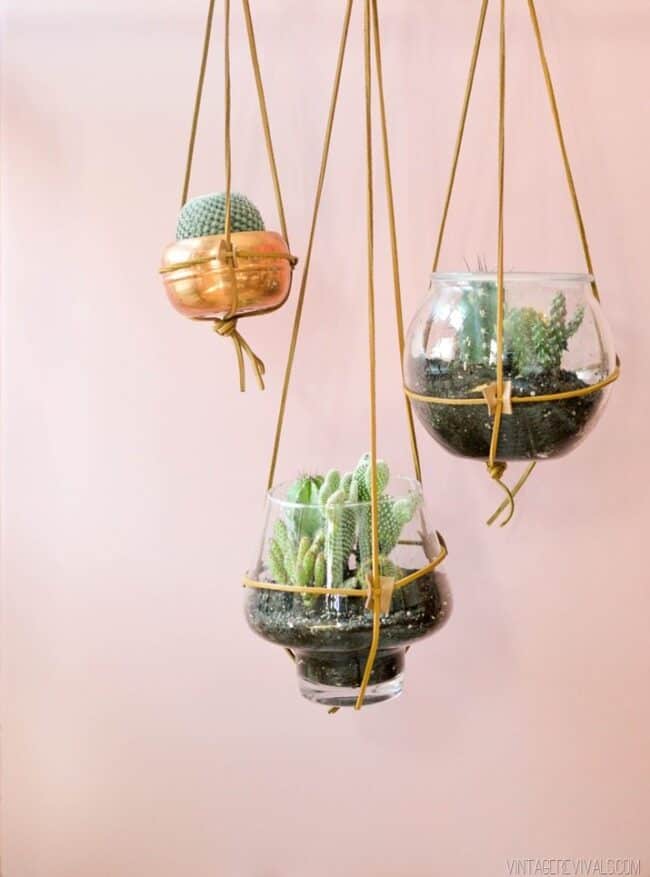 Leather strap hanging planters.