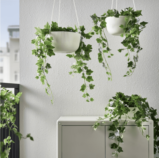 Best ideas for displaying your house plants from IKEA