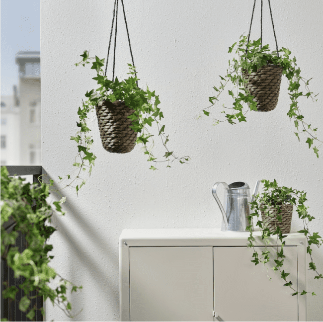 Best ideas for displaying your house plants from IKEA