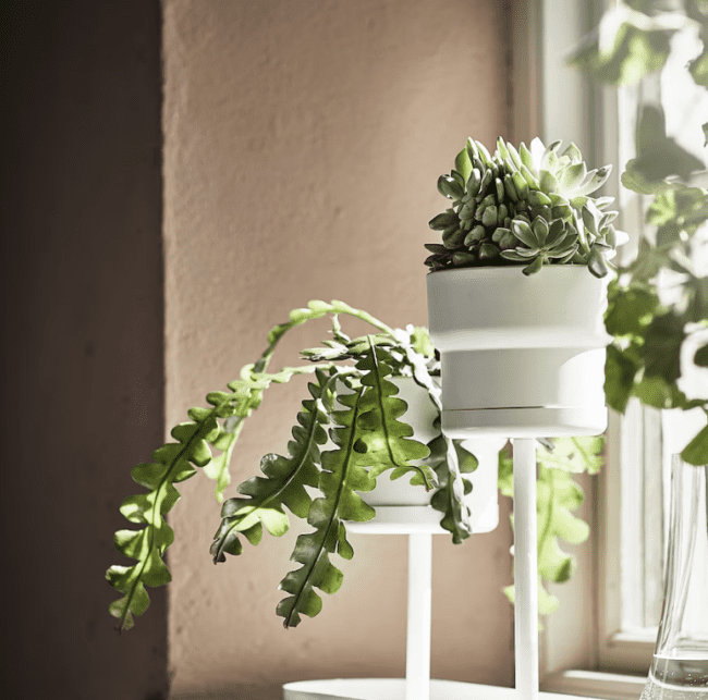 Best ideas for displaying your house plants from IKEA