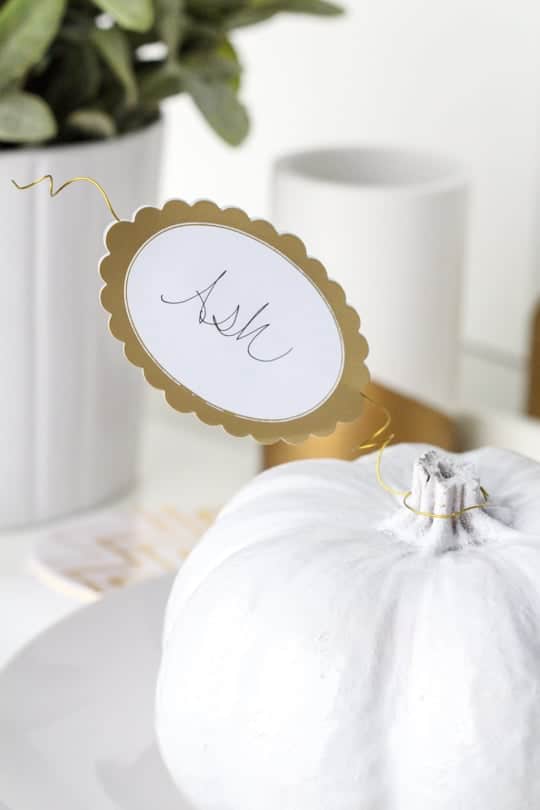 Pumpkin DIY place setting